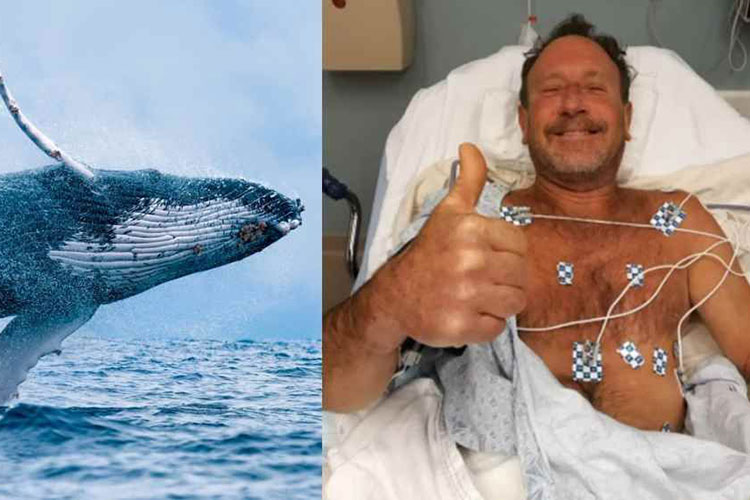 Avalé par une baleine, un pêcheur en ressort indemne