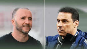 مصريون يطالبون “البدري” بالتعلم من بلماضي!