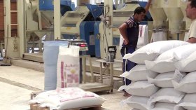 القضاء يحقق في ملفات فساد بـ “مطاحن سطيف”