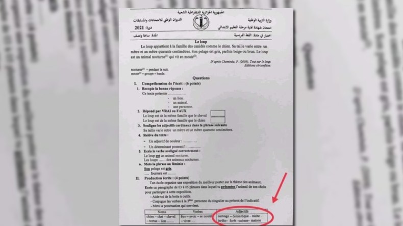 التحقيق في خطإ امتحان الفرنسية لشهادة “السانكيام”