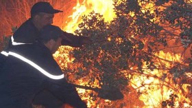 عودة الحرائق..والحماية المدنية تتدخل في 5 ولايات!