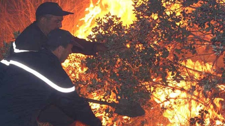 عودة الحرائق..والحماية المدنية تتدخل في 5 ولايات!