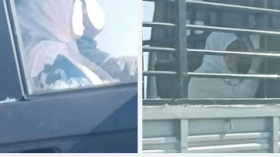 صور صادمة لأم تركب في عربة شاحنة والزوجة في المقعد الأمامي!