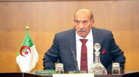 فنيش: استلمنا أكثر من 400 طعن يخص تشريعيات 12 جوان