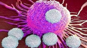 جديد العلوم.. “قنبلة سكر” للقضاء على الخلايا السرطانية في ثوان