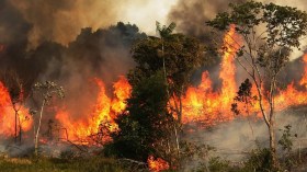 توقيف 10 متهمين بحرائق خنشلة