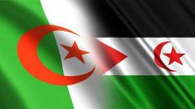 الجزائر والصحراء الغربية.. انطلاق عملية ترسيم الحدود