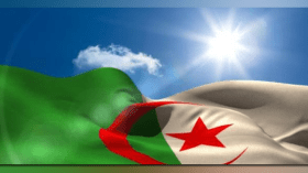 في الذكرى درس وعبرة: 7 × 7