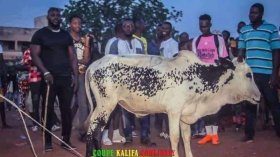 لاعب مالي أصيل يرصد هدايا “مِن وحي الطبيعة الإفريقية”!