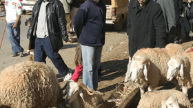 وزارة الصحة تدعو الجزائريين إلى الوقاية من كورونا والكيس المائي