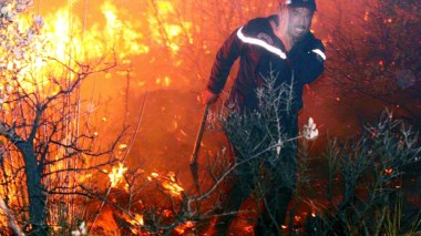 Feux de forêts à Blida: Mort d’un agent de la Protection civile