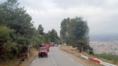 Feux de forêts à Blida: Intensification des patrouilles de contrôle durant le weekend