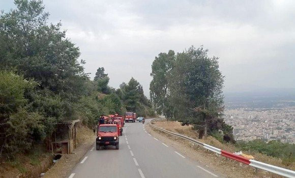 Feux de forêts à Blida: Intensification des patrouilles de contrôle durant le weekend