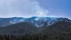 حمداني: الحرائق الأخيرة أتلفت 8900 هكتار على المستوى الوطني