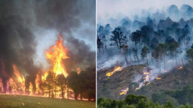 3000 هكتار تفحمت بغابات بوحمامة وشيليا بولاية خنشلة