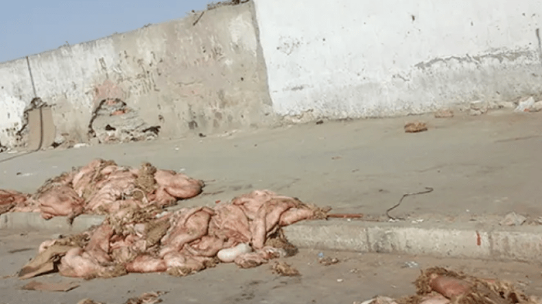 “نات كوم” تدعو المواطنين لوضع “الهيدورة” داخل الأكياس ورميها بالحاويات