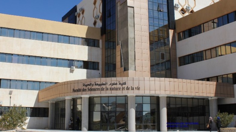 Times Best University In Africa 2021: Algerian Ferhat Abbas University Ranks Ninth 
