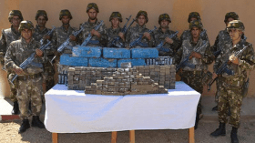 توقيف 5 عناصر دعم للإرهاب وحجز 10 قناطير مخدرات