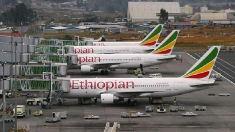 نحو فتح خط جوي مباشر بين الجزائر وأديس أبابا
