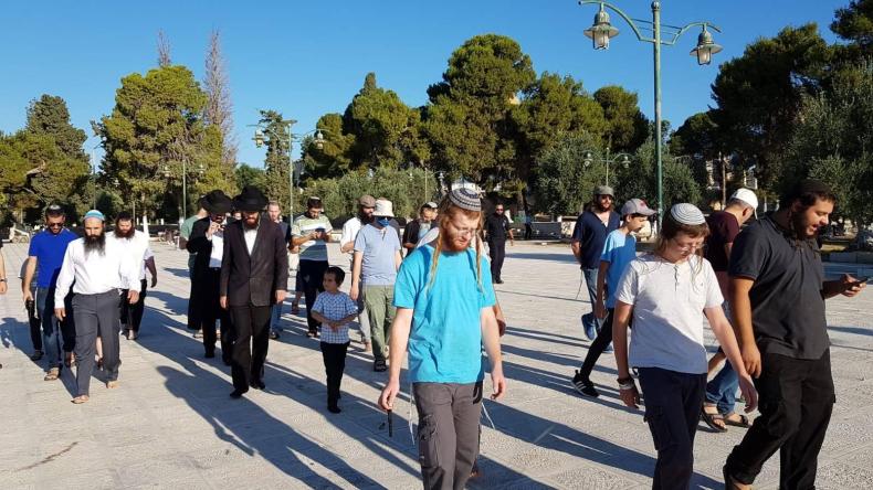 مستوطنون يقتحمون ساحات الأقصى وأبو عبيدة يتوعد!