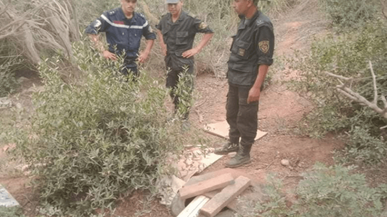 عين الدفلى.. إحباط محاولة حرق غابة عين النحاس    