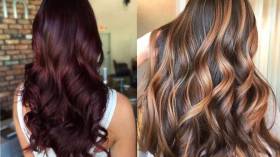 الباردة والأكاجو وبالحليب.. 5 ألوان شعر بلون الشوكولاطة