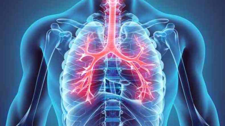 10 أطعمة مهمة جدا لصحة الرئتين.. تعرف عليها