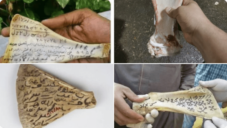 تحذيرات من عظمة الكتف ودعاوى لتكسيرها كي لا تستخدم في السحر!