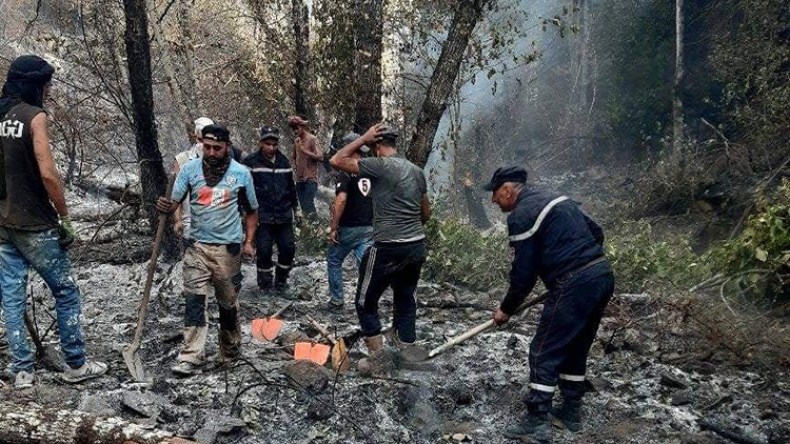 الحماية المدنية: إخماد 27 حريقا عبر 12 ولاية خلال الـ 24 ساعة الأخيرة