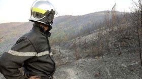 تعويضات مائة بالمائة للمتضررين من الحرائق