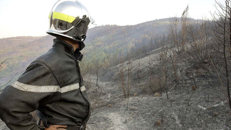 تعويضات مائة بالمائة للمتضررين من الحرائق