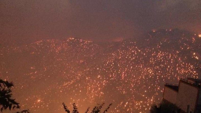 صوت الحكمة والعقل مع صولة العقاب