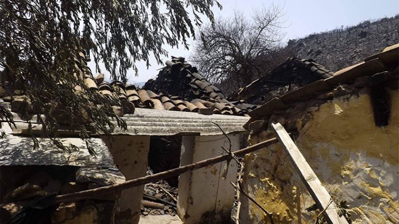 لا نقود في تعويضات الفلاحين المتضررين من الحرائق!