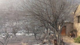 بعد الإرهاب.. الحرائق تحوّل الغابات إلى “بعبع” يهجّر الأهالي