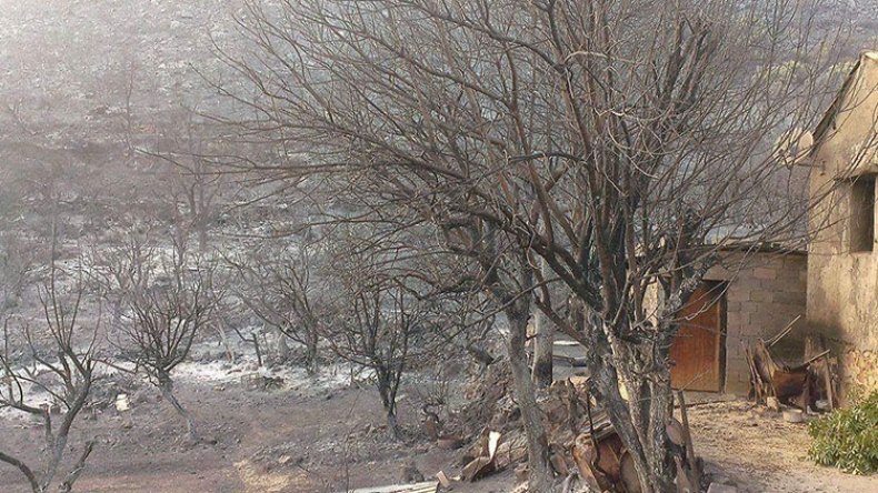 بعد الإرهاب.. الحرائق تحوّل الغابات إلى “بعبع” يهجّر الأهالي