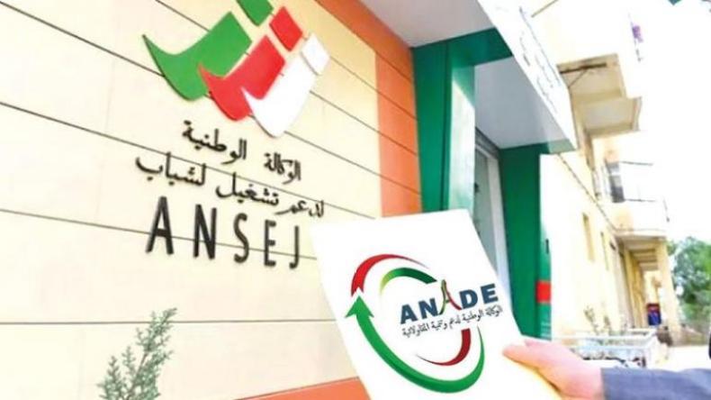 “أناد” تعوض ديون 208 مؤسسة متعثرة بقيمة تفوق 26 مليار سنتيم