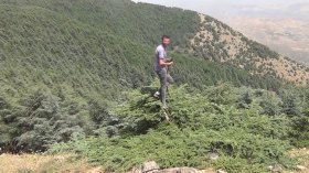 “جبال بابور”.. القطعة الأمازونية التي اخترقت السحاب