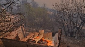 أخبار الجزائر ليوم السبت 14 أوت 2021