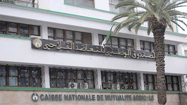 إعانات فورية وتعويضات مالية للمتضرّرين بتيزي وزو!