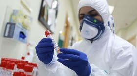 تراجع منحنى كورونا في كبرى ولايات الشرق