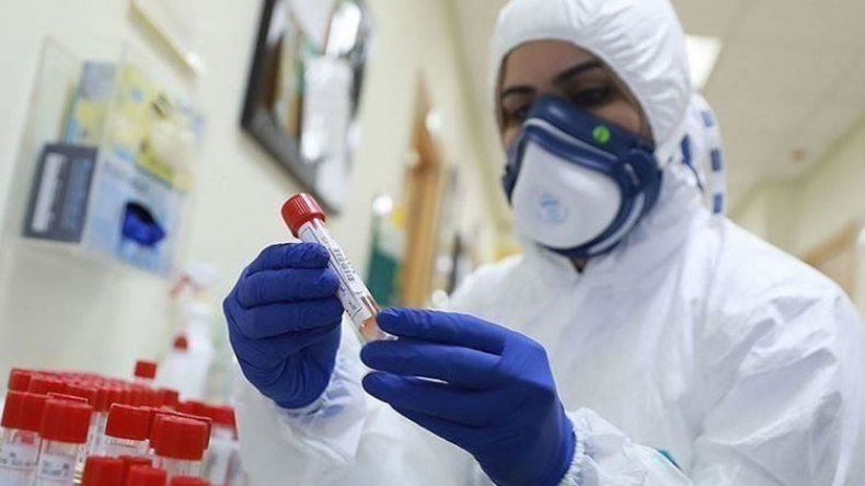 تراجع منحنى كورونا في كبرى ولايات الشرق