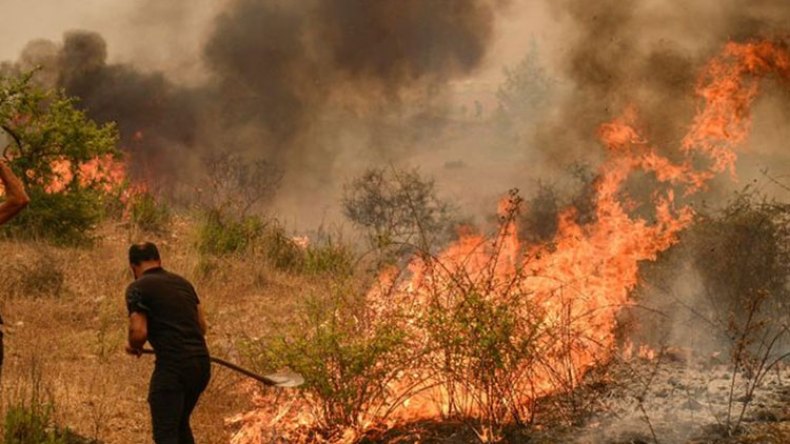 يا نار كوني برداً وسلاماً على جزائرنا