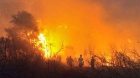 أخبار الجزائر ليوم الثلاثاء 17 أوت 2021