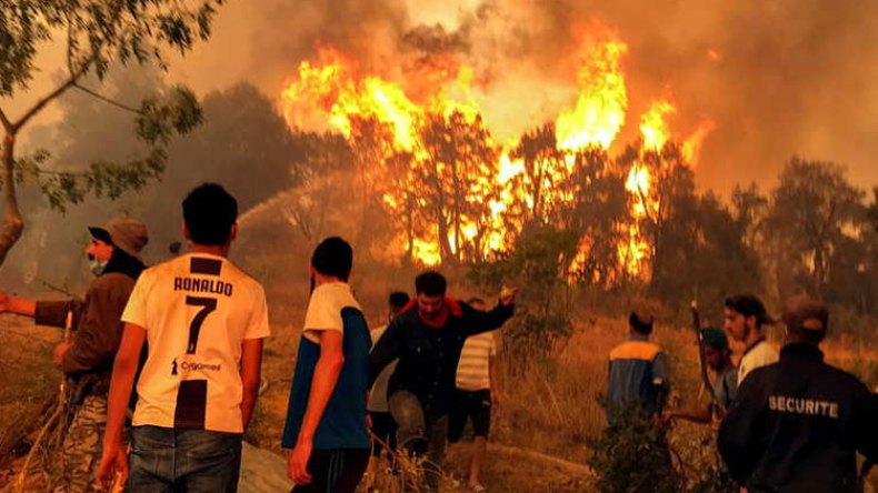 فتوى في حرائق الغابات وجريمة المغدور جمال هذا الأسبوع!