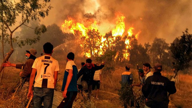 حرائق الغابات: توقيف 71 شخصا عبر 14 ولاية