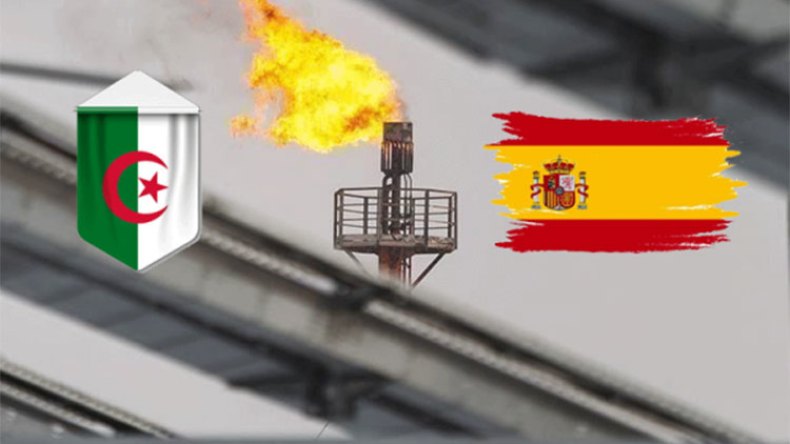 إمدادات الجزائر الغازية مضمونة ولا يعترضها أي خطر