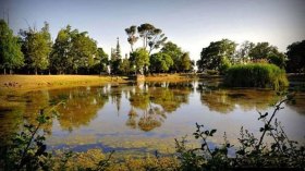 جفاف البحيرات الخمس في جبل الوحش بقسنطينة لأول مرة