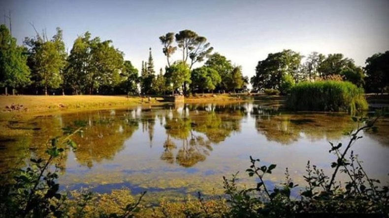 جفاف البحيرات الخمس في جبل الوحش بقسنطينة لأول مرة