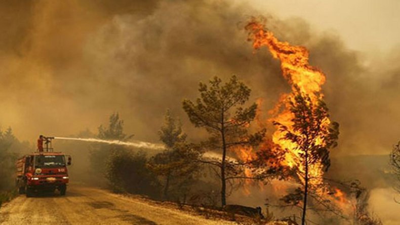 نحو إستراتيجية شاملة لمكافحة الحرائق
