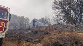 جرحى وخسائر مادية معتبرة جراء الحرائق في عدة ولايات